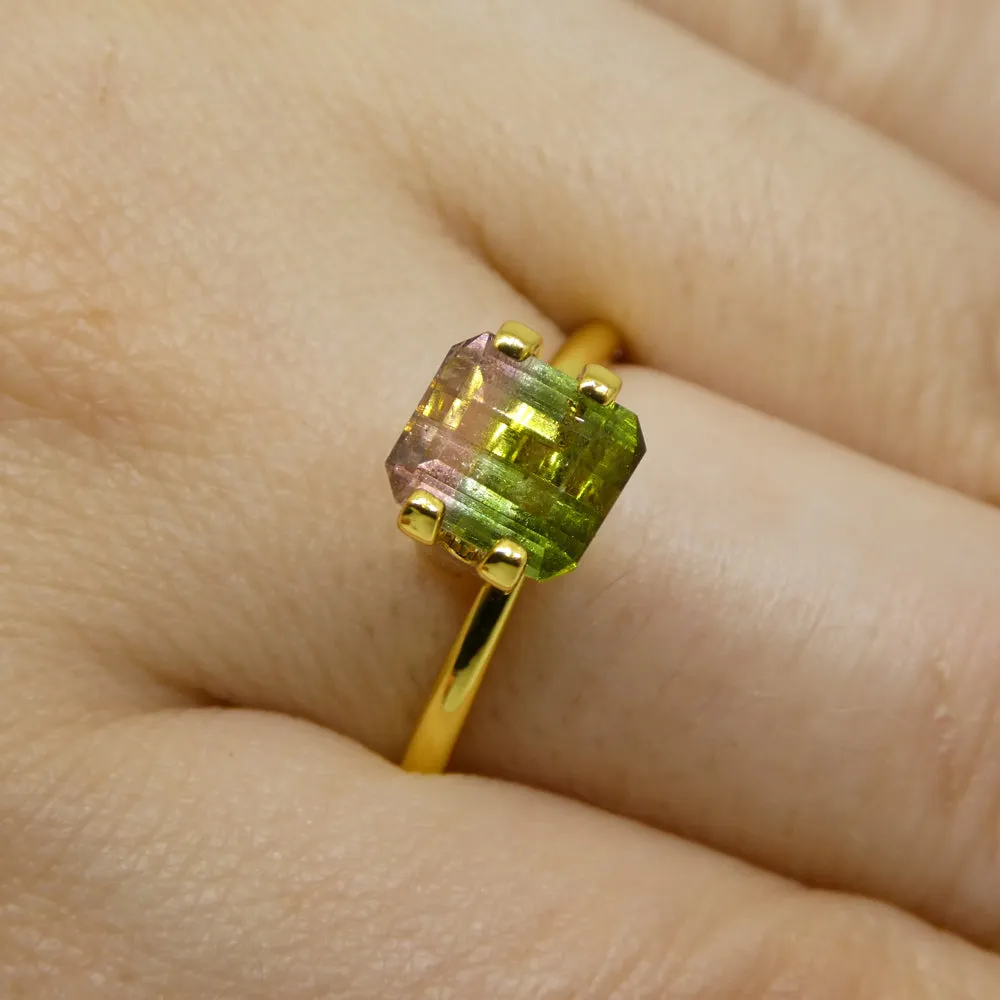 1.57ct Emerald Cut Green & Pink Bi-Colour Tourmaline