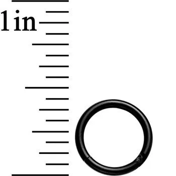 16 Gauge 5/16 Black Anodized Hinged Segment Ring
