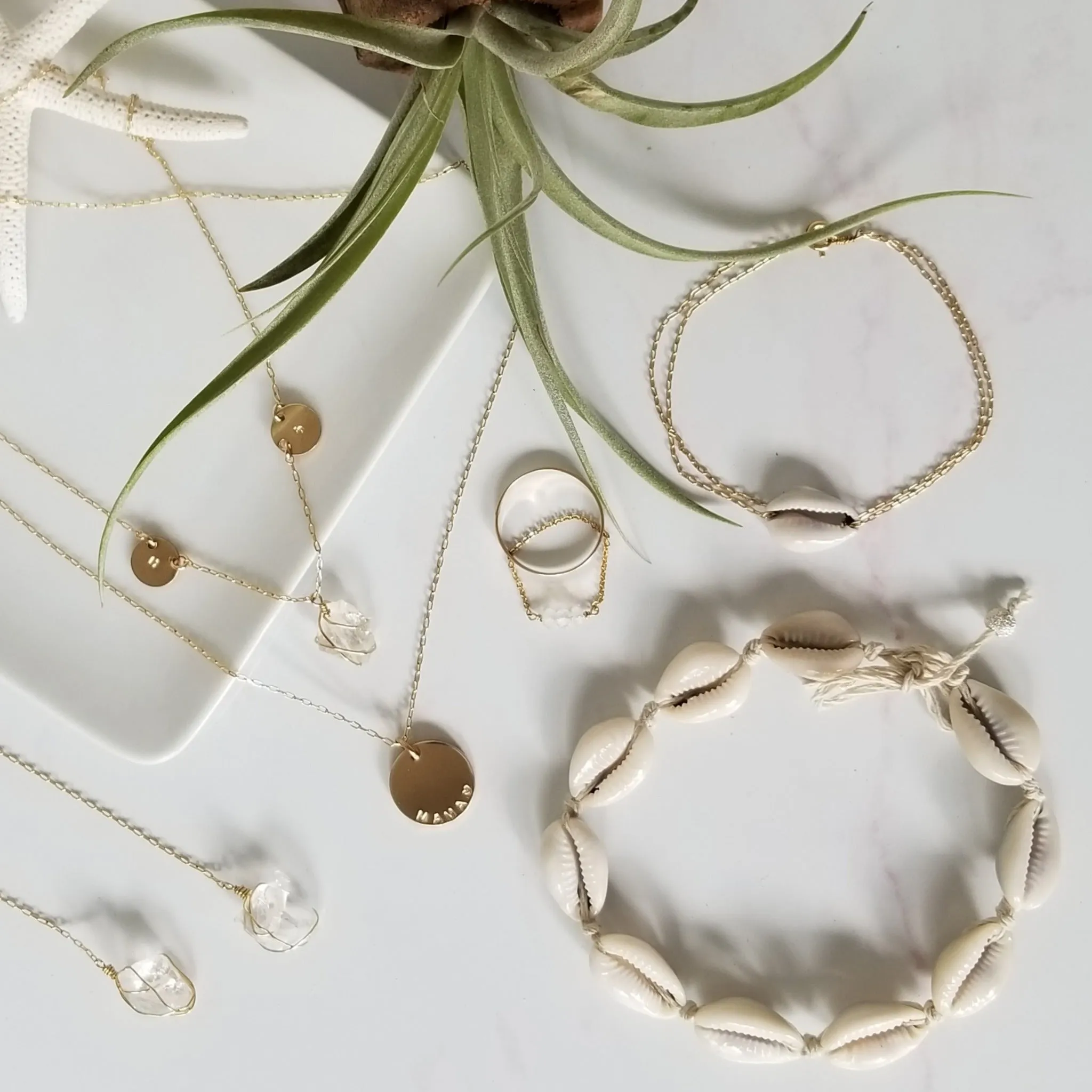 Conch Shell Chain Bracelet - Sterling, Gold, or Rose Gold