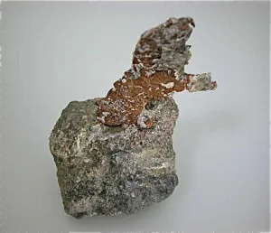 Copper in Basalt, Lake Superior Copper District, attr: Petherick Mine, Copper Falls Complex, Keweenaw County, Michigan Medium cabinet 9 x 9 x 15 cm  $75. Online 6/6