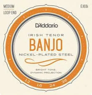 D'addarío Irish Tenor Banjo Strings, Nickel Plated, Medium, Loop End