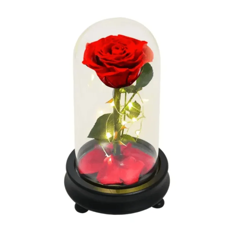 Forever Rose Glass Dome - Gift With Pine Wood Base