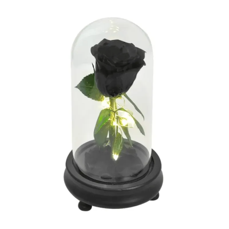 Forever Rose Glass Dome - Gift With Pine Wood Base