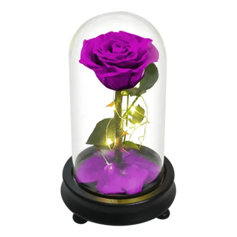 Forever Rose Glass Dome - Gift With Pine Wood Base