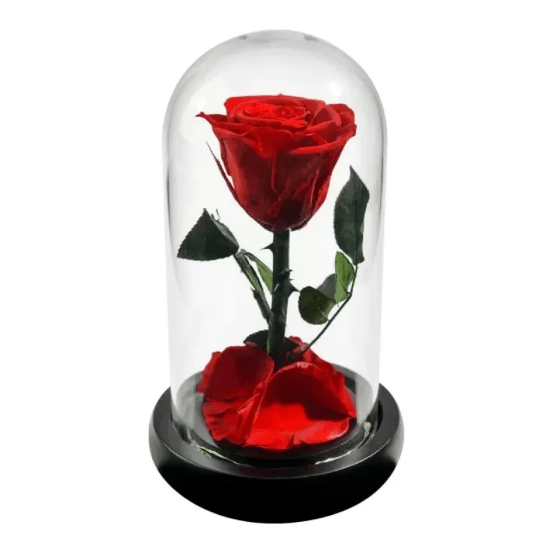 Forever Rose Glass Dome - Gift With Pine Wood Base