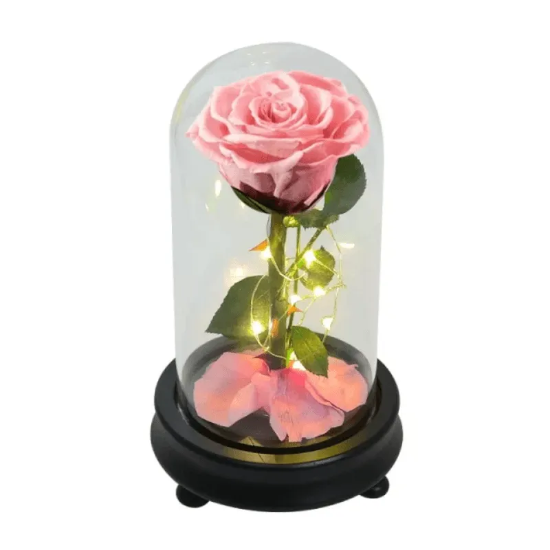 Forever Rose Glass Dome - Gift With Pine Wood Base
