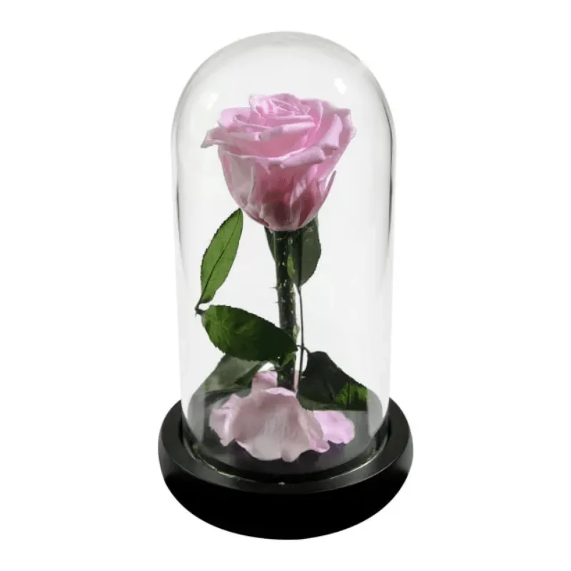 Forever Rose Glass Dome - Gift With Pine Wood Base