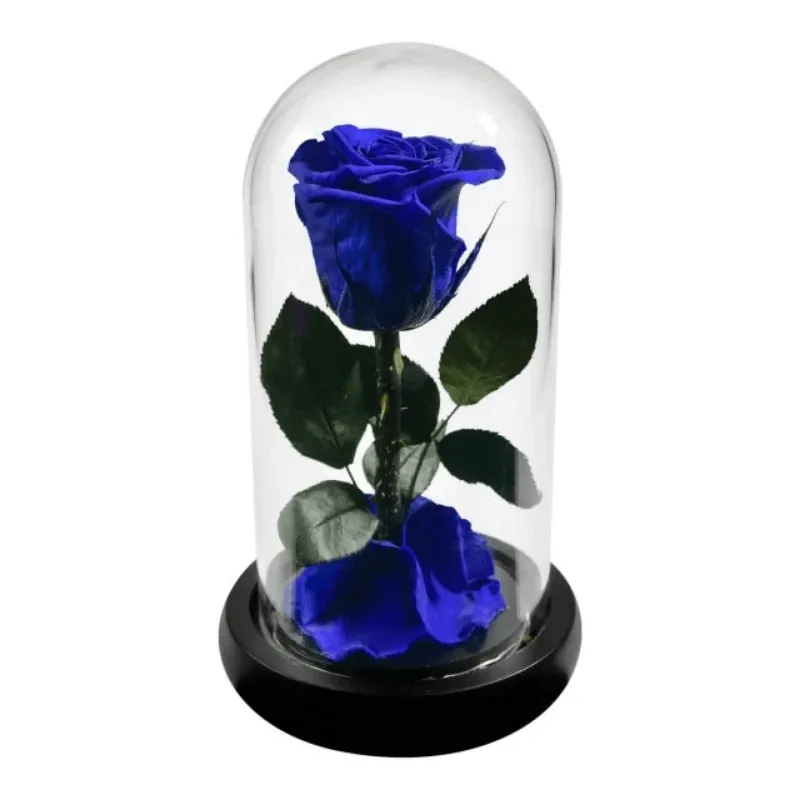 Forever Rose Glass Dome - Gift With Pine Wood Base