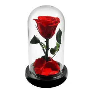 Forever Rose Glass Dome - Gift With Pine Wood Base