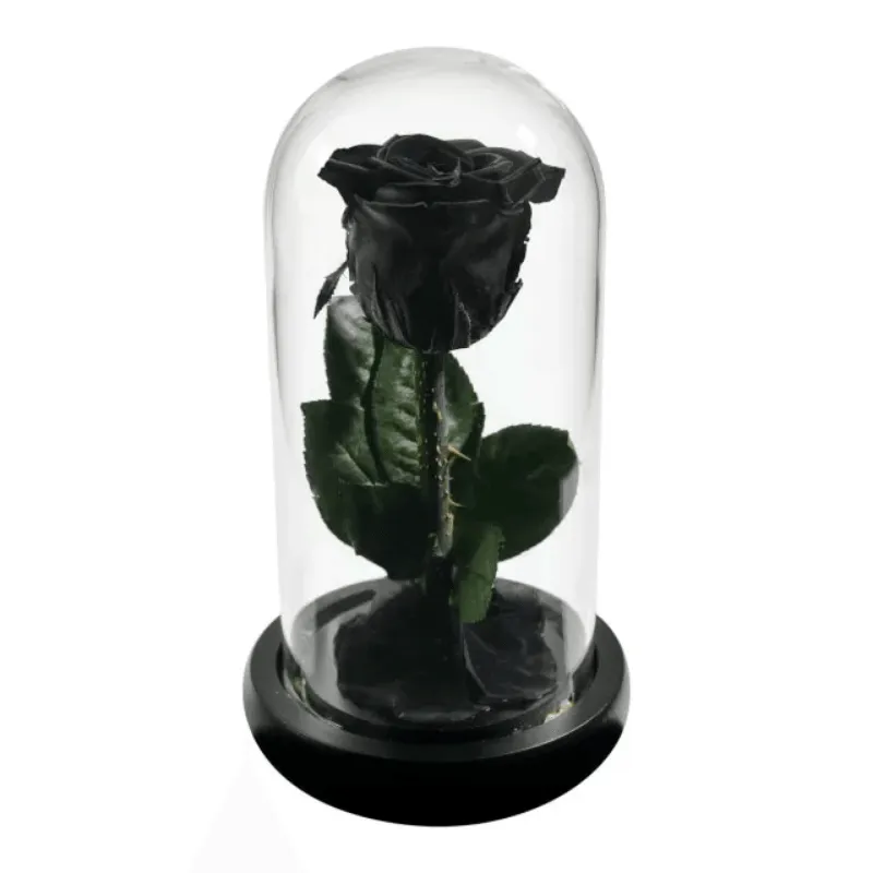 Forever Rose Glass Dome - Gift With Pine Wood Base