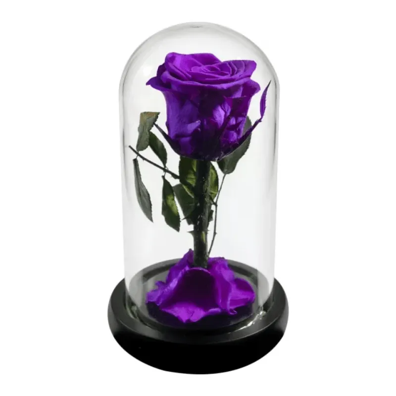 Forever Rose Glass Dome - Gift With Pine Wood Base
