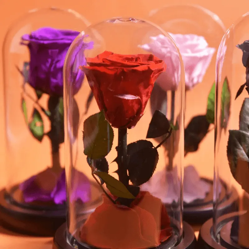 Forever Rose Glass Dome - Gift With Pine Wood Base