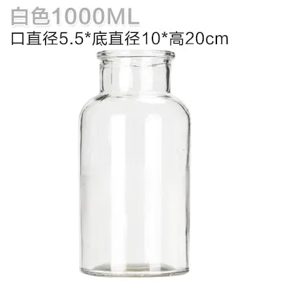 Glass Vase Home Small Hydroponic Plant Glass Bottle Living Room Decoration Dried Flower Decoration Transparent Flower Vase