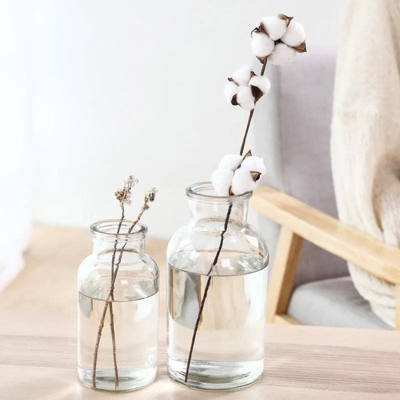 Glass Vase Home Small Hydroponic Plant Glass Bottle Living Room Decoration Dried Flower Decoration Transparent Flower Vase