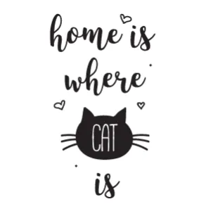 Home is Where Cat is