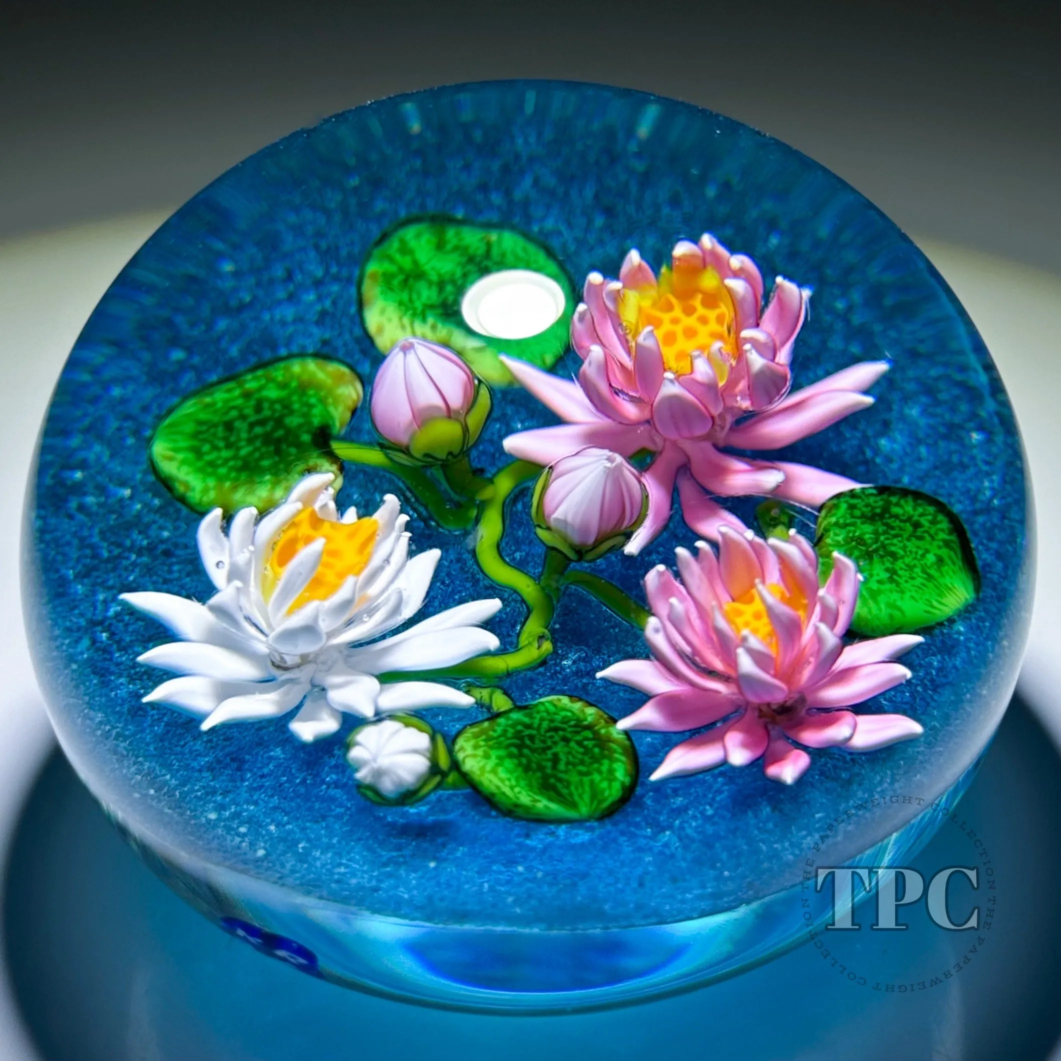 Ken Rosenfeld 2024 Glass Art Paperweight Flamework Pink & White Waterlilies