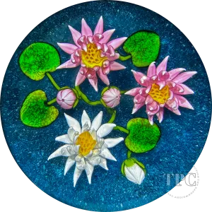 Ken Rosenfeld 2024 Glass Art Paperweight Flamework Pink & White Waterlilies