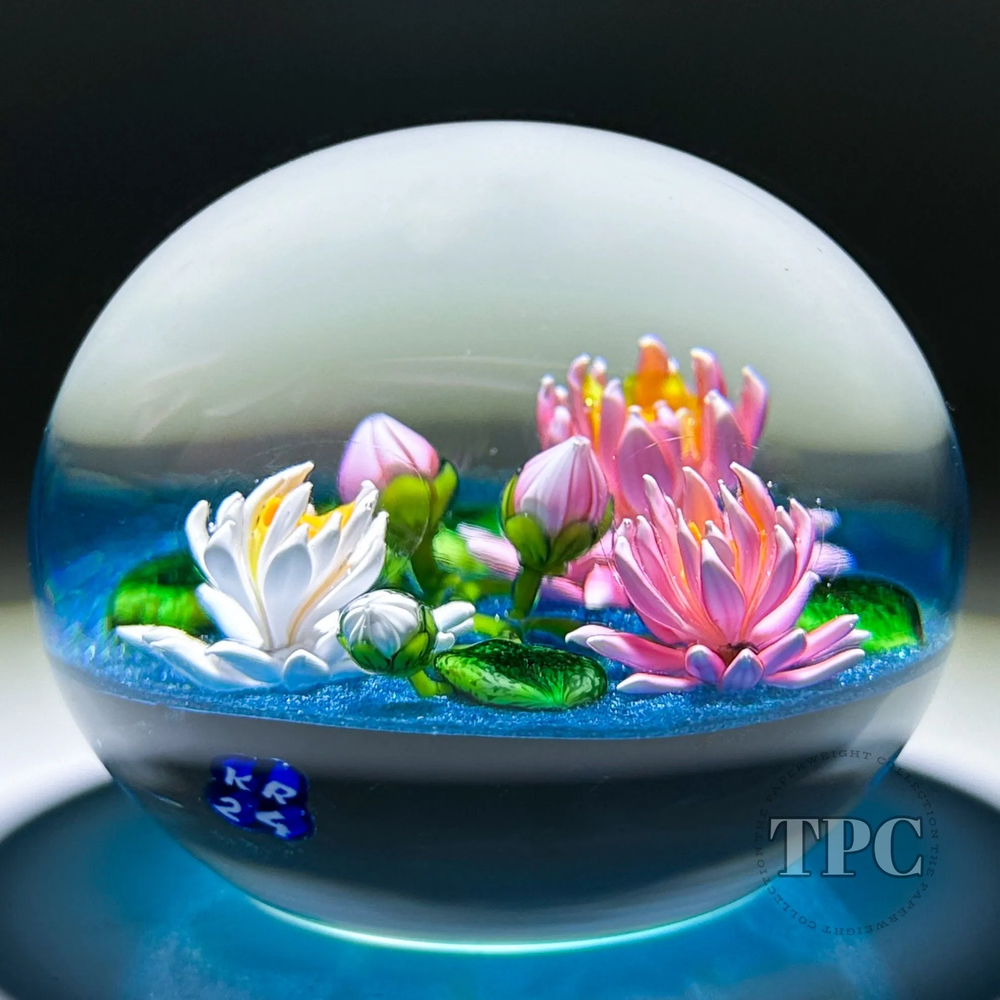 Ken Rosenfeld 2024 Glass Art Paperweight Flamework Pink & White Waterlilies