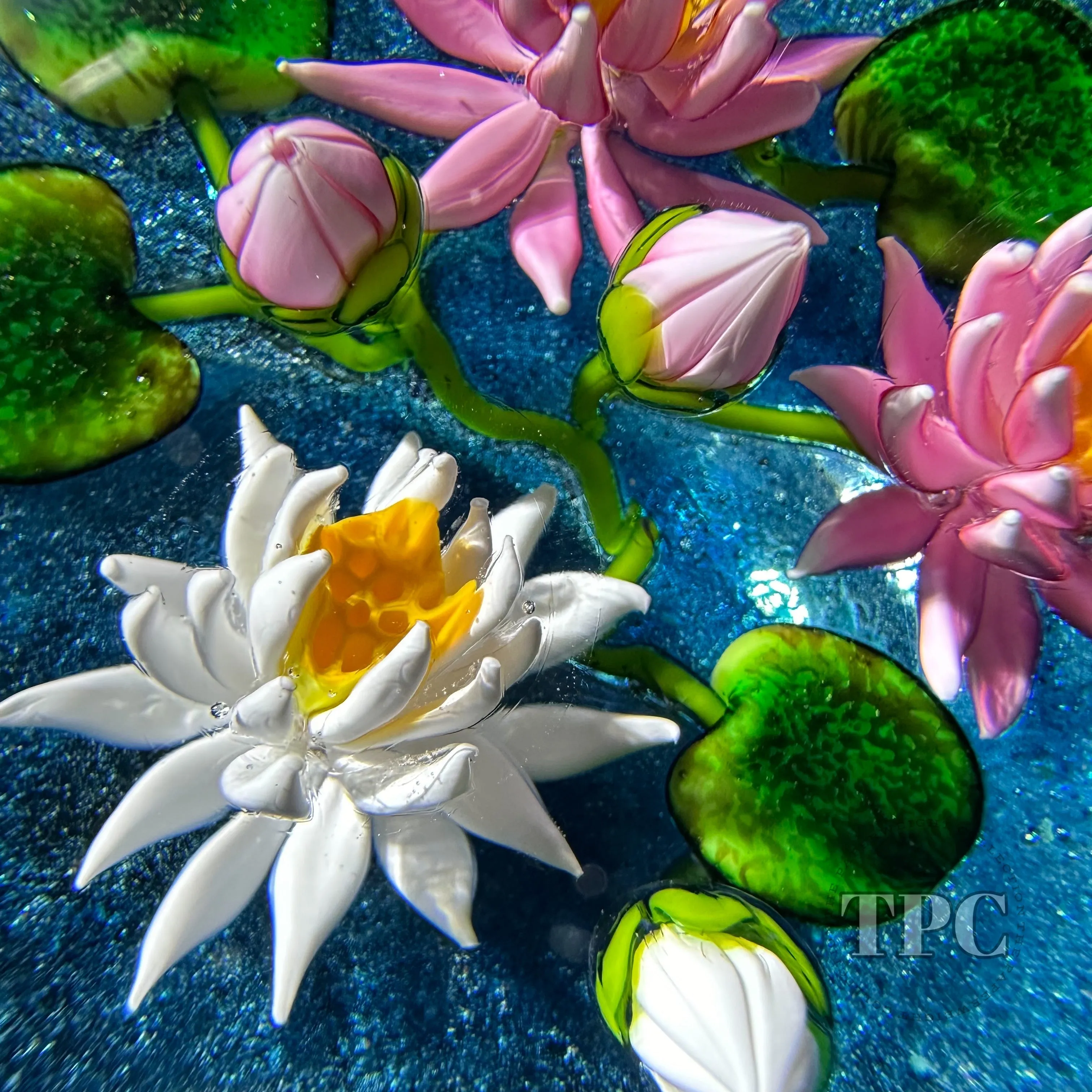 Ken Rosenfeld 2024 Glass Art Paperweight Flamework Pink & White Waterlilies