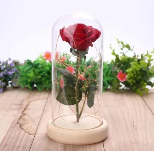 LED Beauty And The Beast Rose Battery Powered Valentine's Day Gift