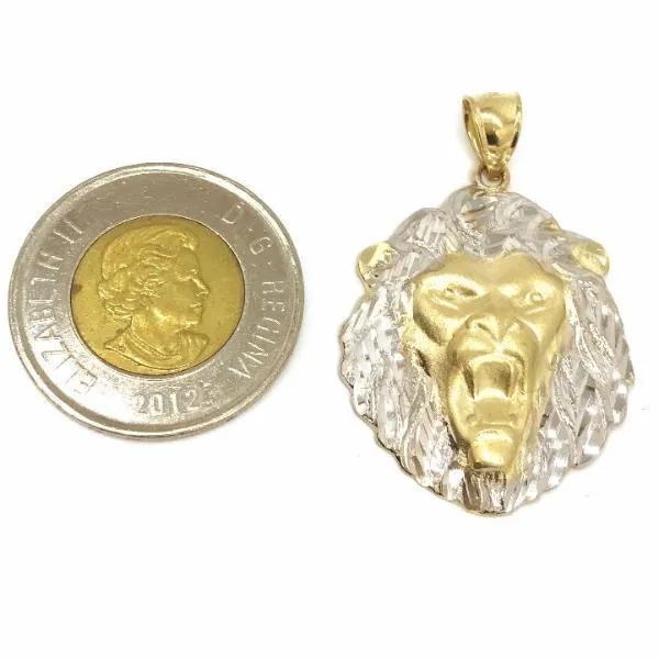 Lion LGP_003
