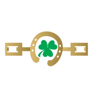 Lucky Horseshoe Bracelet