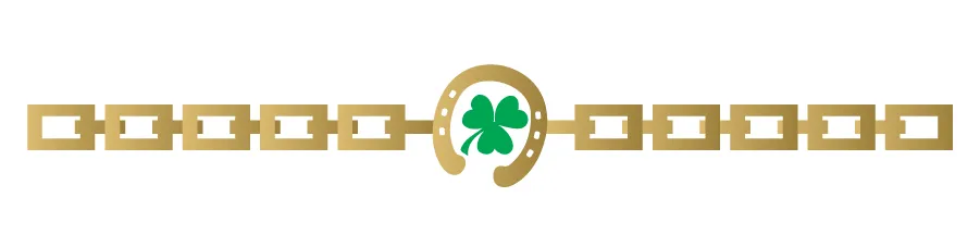Lucky Horseshoe Bracelet