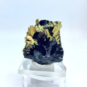 Lustrous Gold Rutile on Hematite