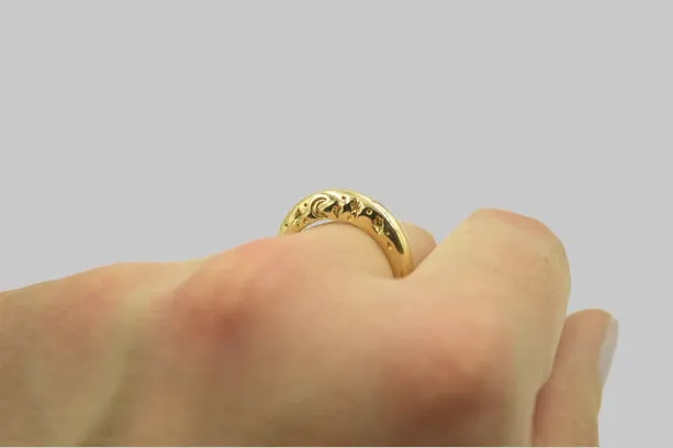 Night and Day Two Sided Ring