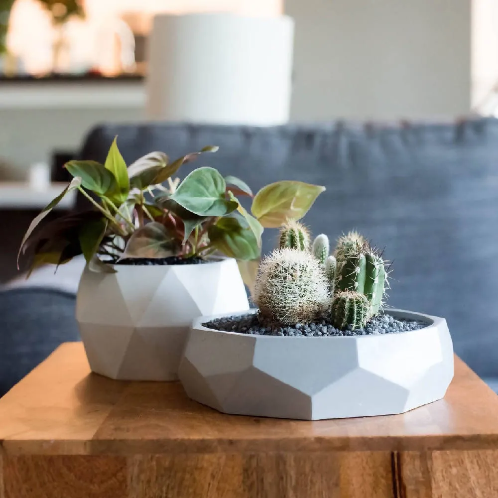 No.30| Geo Catchall Bowl