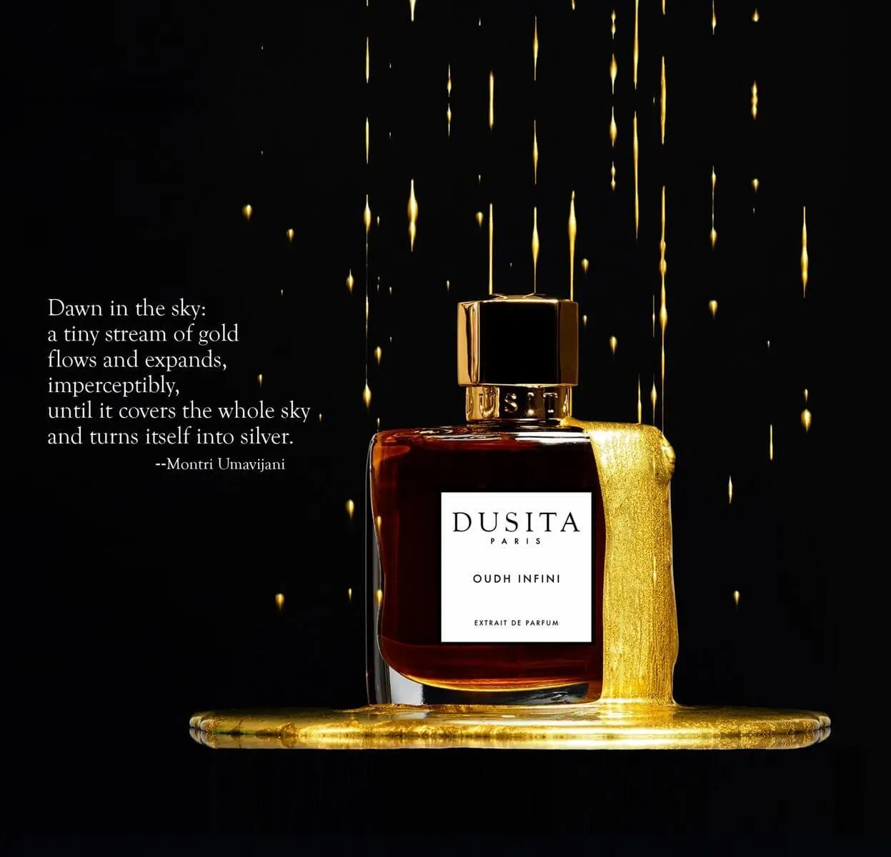 Oudh Infini by Dusita