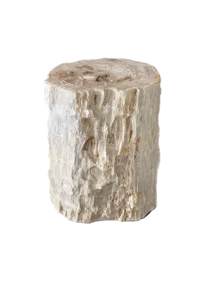Petrified Wood Side Table VI