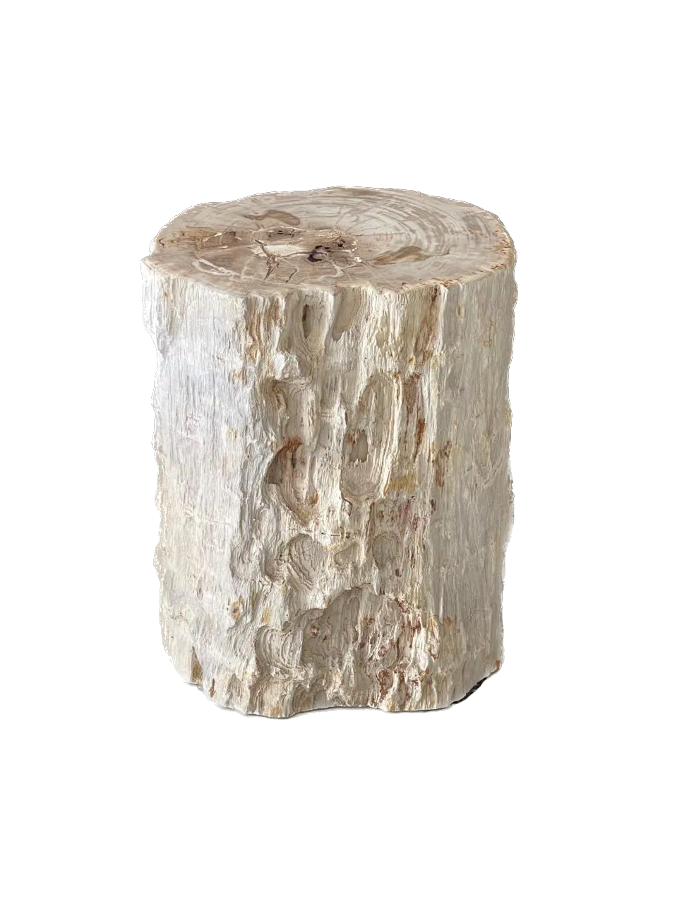 Petrified Wood Side Table VI