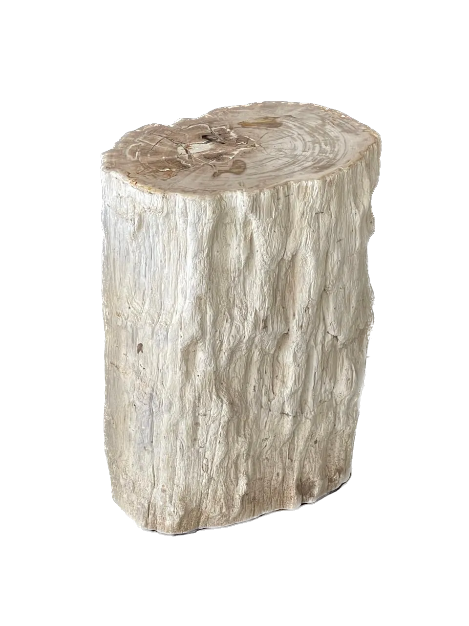 Petrified Wood Side Table VI