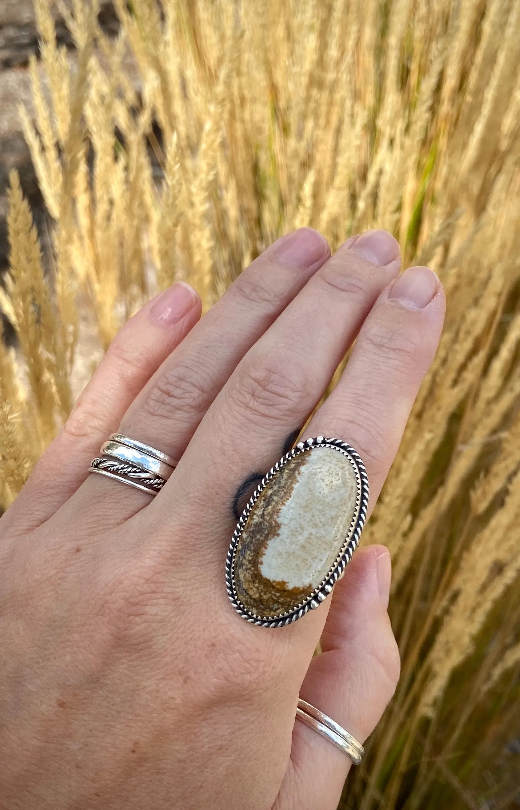 Picture Jasper Ring