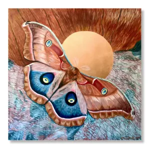 "Love (is not blind)" Polyphemus Moth Painting 48x48