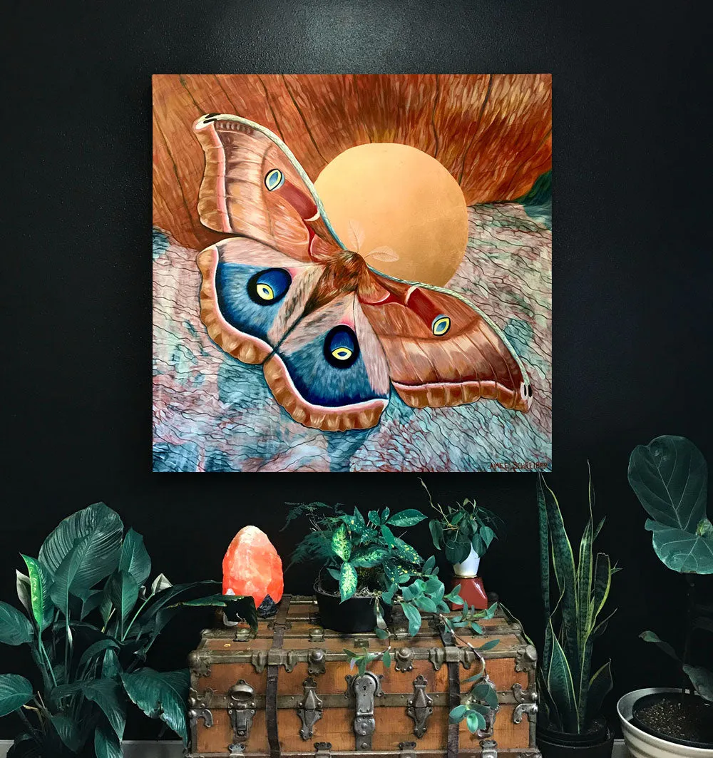 "Love (is not blind)" Polyphemus Moth Painting 48x48