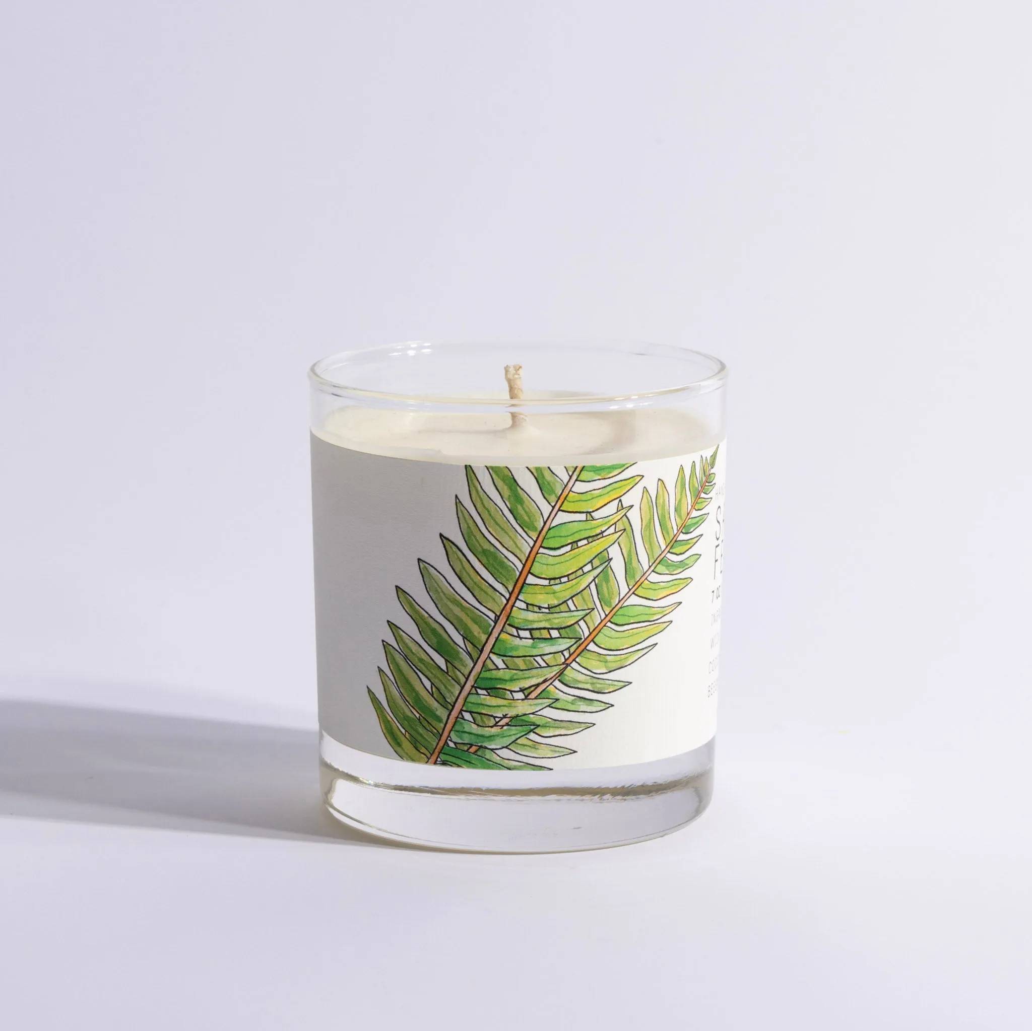 Sandalwood Fern