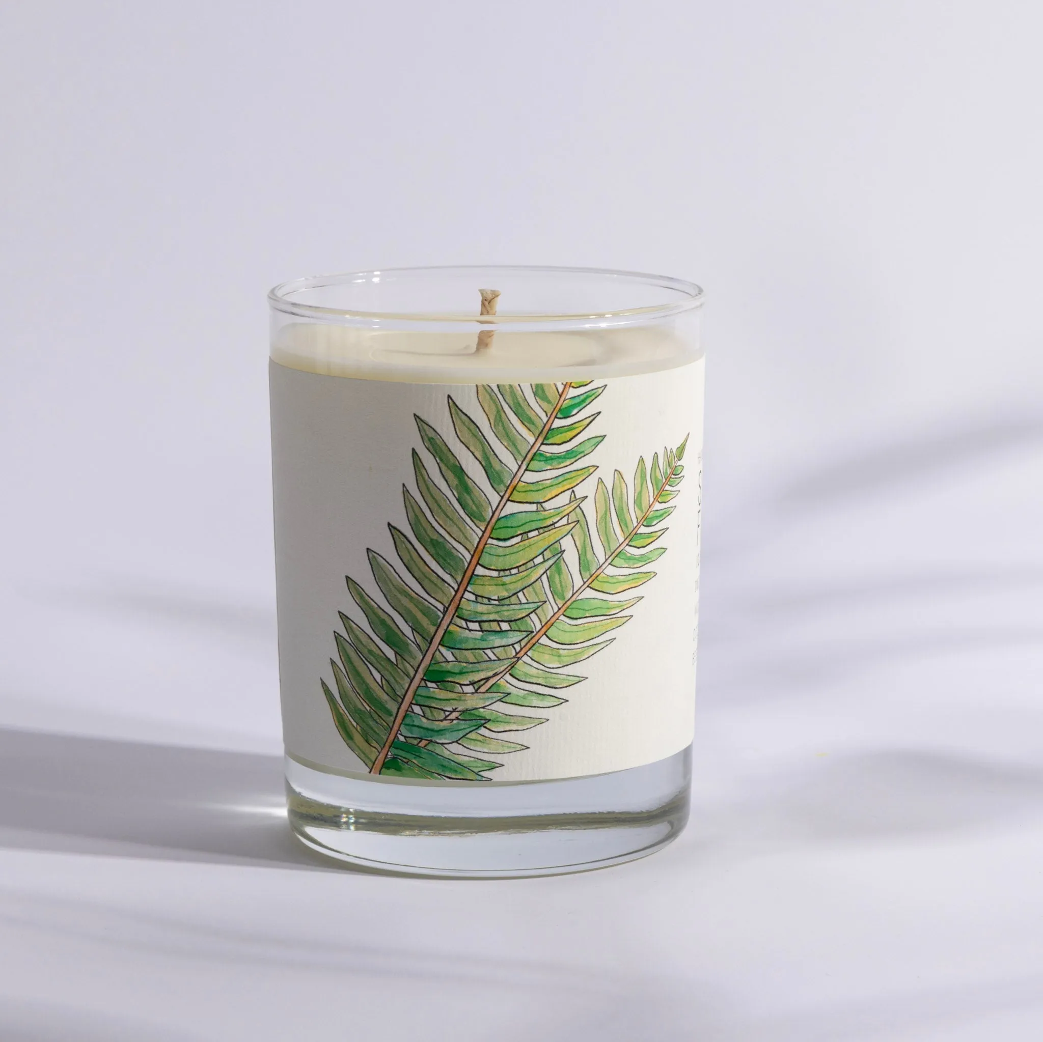 Sandalwood Fern