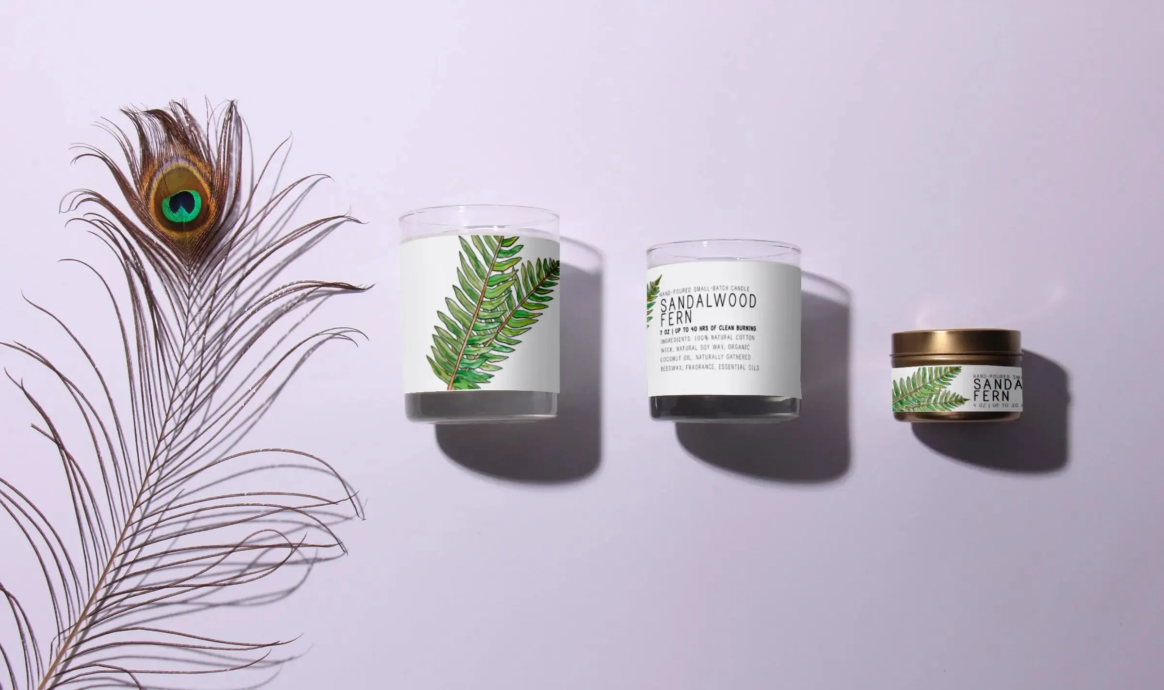 Sandalwood Fern