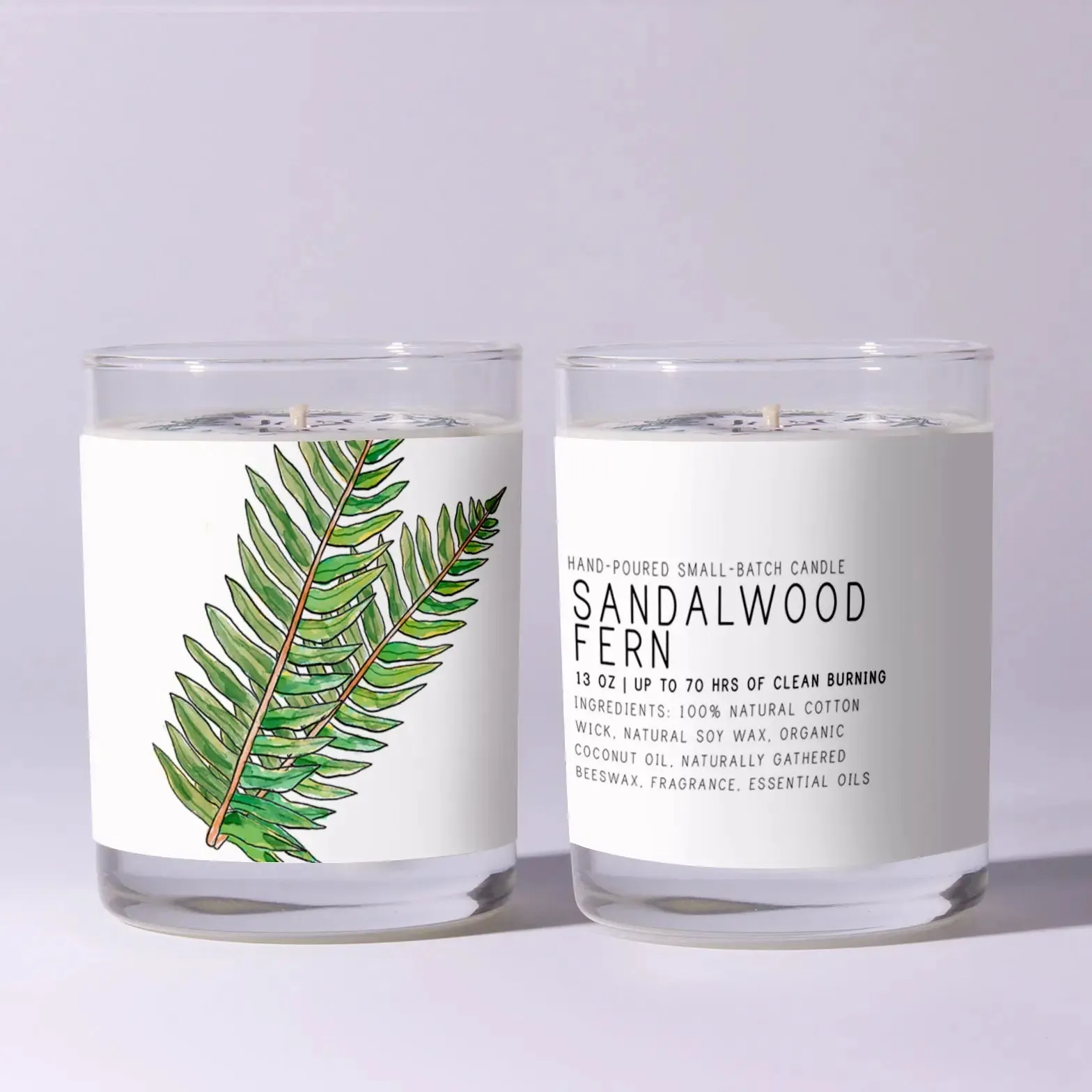 Sandalwood Fern