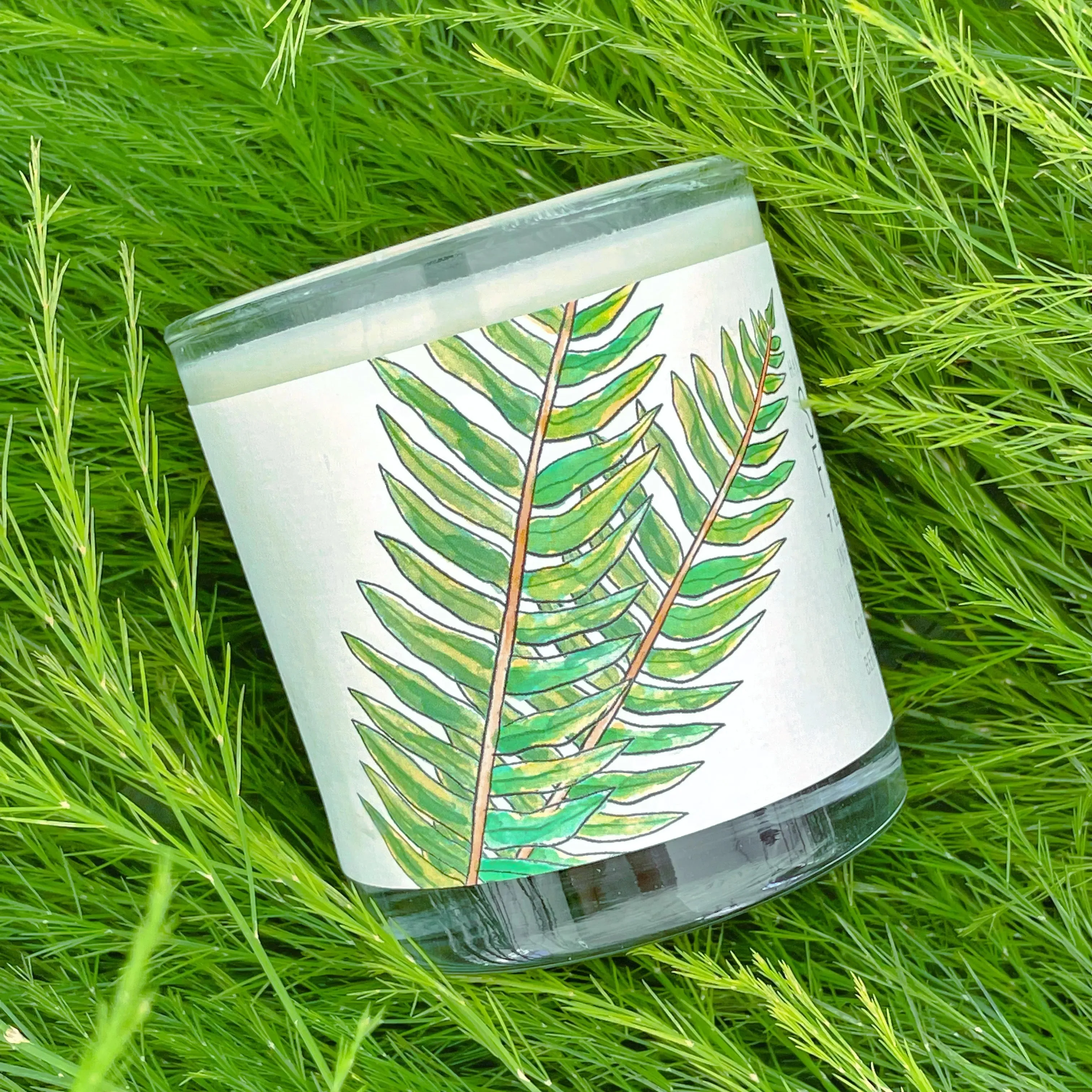 Sandalwood Fern