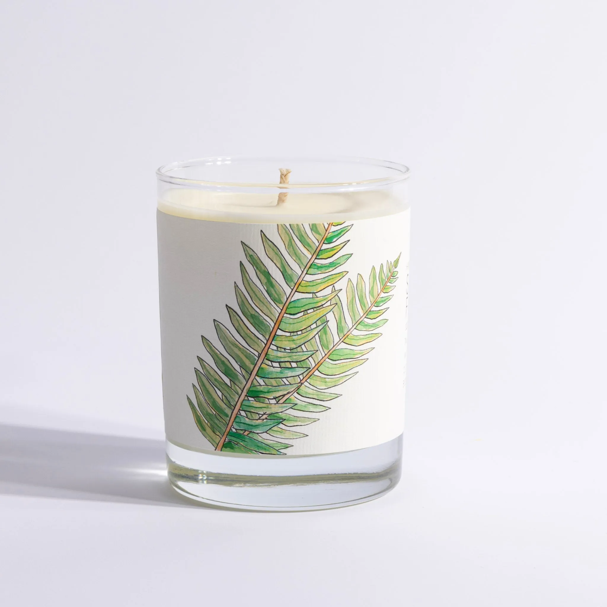 Sandalwood Fern