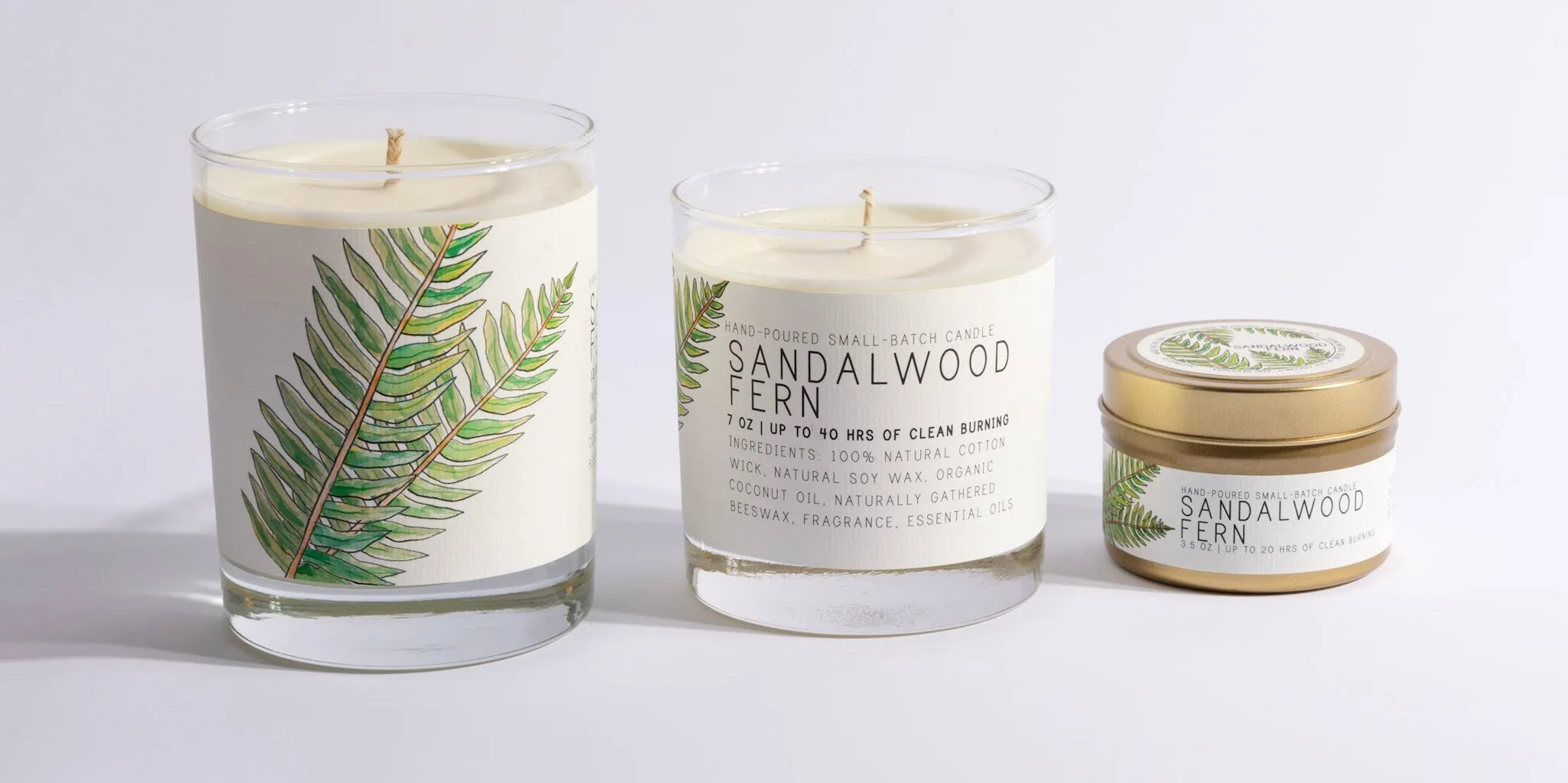 Sandalwood Fern