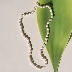 Satomi Studio Cluster Pearl Necklace