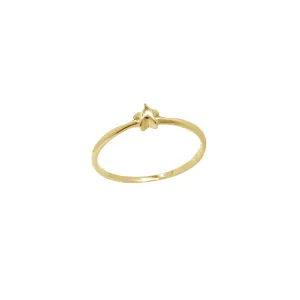 Shining Little Star Ring (14K)