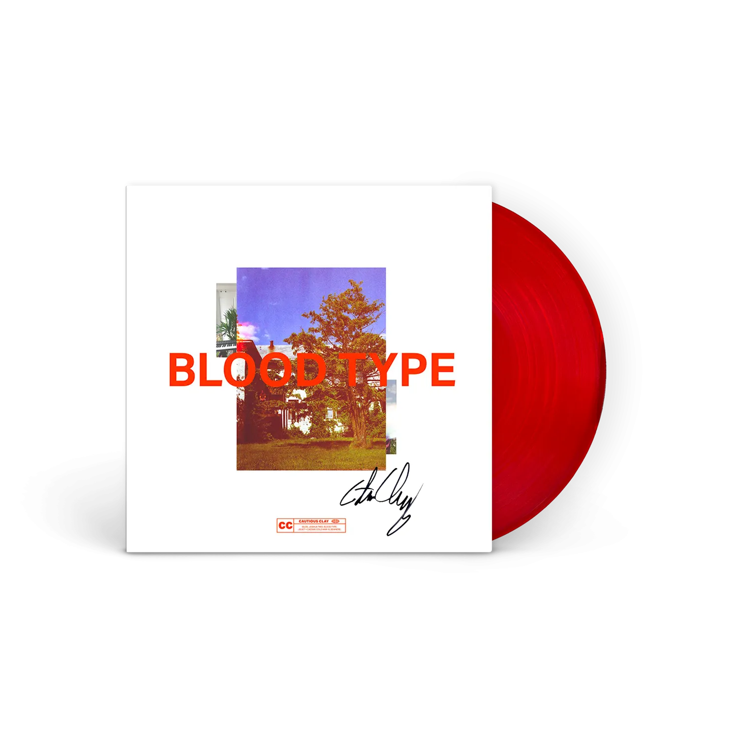 SIGNED Blood Type 12" Vinyl
