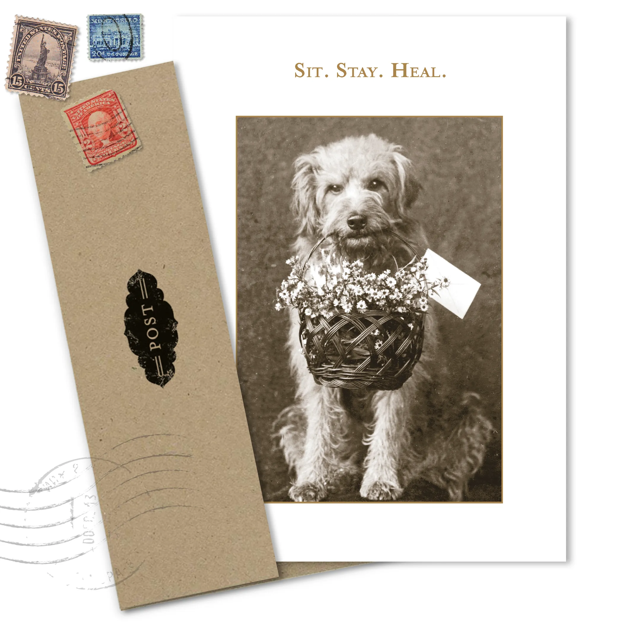 Sit. Stay. Heal. Get Well Card