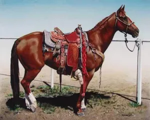 Study For Cow Pony