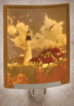 The Porcelain Garden Portland Head Colored Curved Night Light
